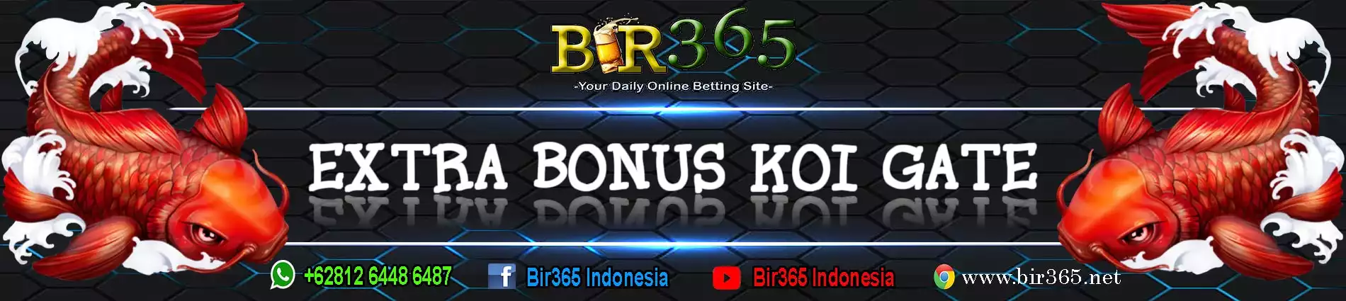extra-bonus-koi-jejer.webp